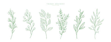 Floral branch and minimalist flowers for logo or tattoo. Hand drawn line wedding herb, elegant leaves for invitation save the date card. Botanical rustic trendy greeneryのイラスト素材