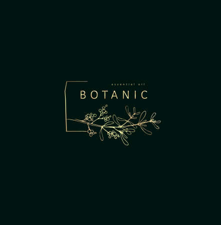 Minimal feminine floral monogram and logo. Hand drawn wedding herb, elegant leaves. Botanical rustic trendy greenery vectorのイラスト素材