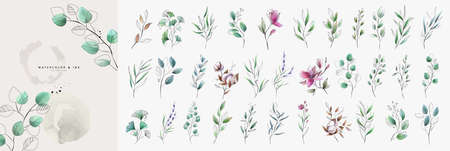 Set of luxury green leaves and flowers elements in watercolor and ink style. Aquarelle and line branches and blooming. Vector isolated on white background for Invitation, greeting card, save the date.のイラスト素材