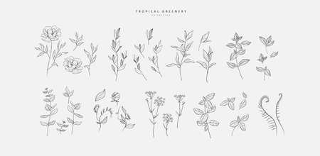 Set of luxury flowers and trendy botanical elements. Hand drawn line leaves branches and blooming. Wedding elegant wildflowers for invitation save the date card. Vector trendy greeneryのイラスト素材