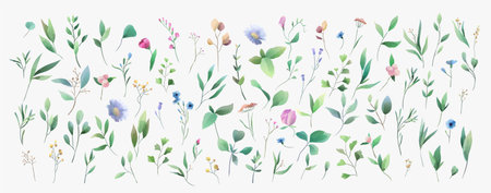 Set of luxury green leaves and flowers elements in watercolor style. Aquarelle trendy greenery branches and blooming. Vector isolated on white background for Invitation, greetingのイラスト素材