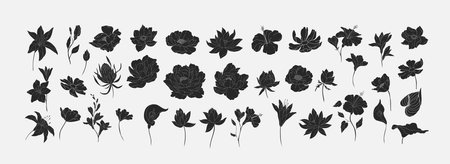 Set of trendy wedding flowers in silhouette for logo or decorations. Hand drawn line decoraton, elegant leaves for invitation save the date card. Botanical rustic trendyのイラスト素材