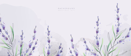 Watercolor bakground with lavender flowers and leaves. Floral foliage for wedding invitation, wall art or card template. Vector illustration. Luxury rusticのイラスト素材