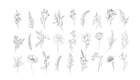 Floral branch and minimalist flowers for  tattoo. Hand drawn line wedding herb, elegant leaves for invitation save the date card. Botanical rustic trendy greeneryのイラスト素材