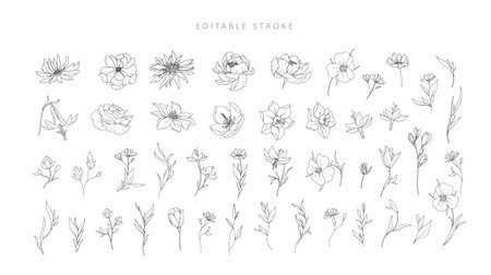 Set of detailed various flowers and branch with editable stroke. Hand drawn vector illustration, botanical elements for invitation, save the dateのイラスト素材