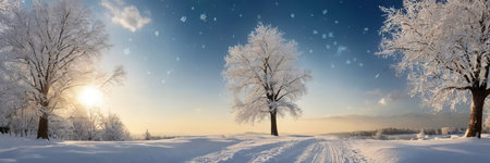 Winter landscape with trees covered with hoarfrost and snow at sunsetの素材