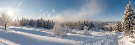 Beautiful winter landscape panorama with snow covered trees and blue skyの素材