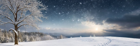 Winter landscape with snowy trees and blue sky. Panorama with copy spaceの素材