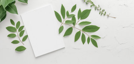 Creative layout made of green leaves on white background. Flat lay, top view minimal concept.の素材