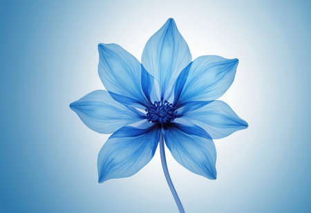 Blue dahlia flower on a blue background. Vector illustration.の素材