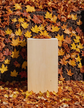 wooden podium on the background of autumn leaves in the park.の素材
