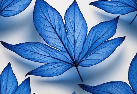 Blue leaves on white background. Close-up. Nature background.の素材