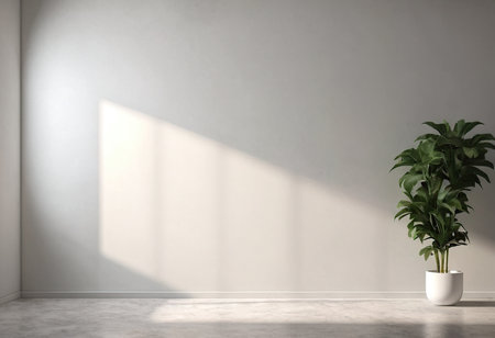 Empty room with plant in pot. Mock up, 3D Renderingの素材
