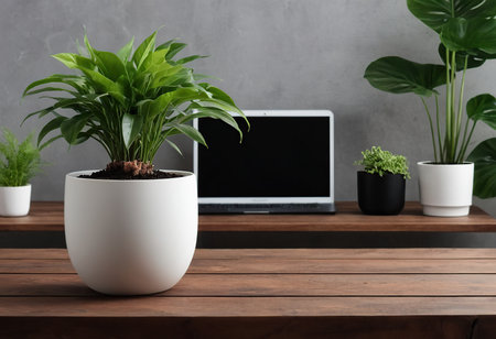 Wooden table with houseplants and laptop on gray wall backgroundの素材