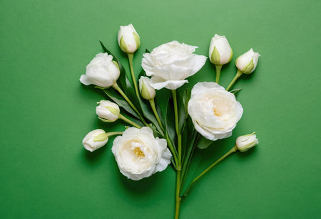 Beautiful white flowers on green background. Flat lay, top viewの素材