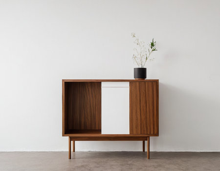 interior of modern living room with wooden chest of drawers and plantの素材