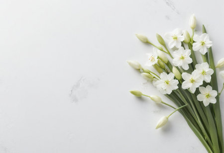 Beautiful freesia flowers on white marble table, flat layの素材