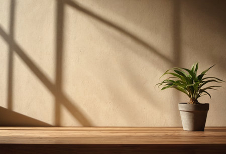 Wooden table with a plant in a pot on the wall backgroundの素材