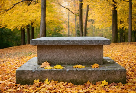 Stone bench in autumn forest with fallen leaves. Selective focus.の素材