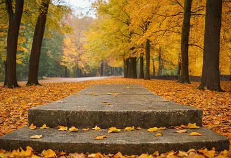 Pathway in autumn park with yellow fallen leaves. Fall season.の素材