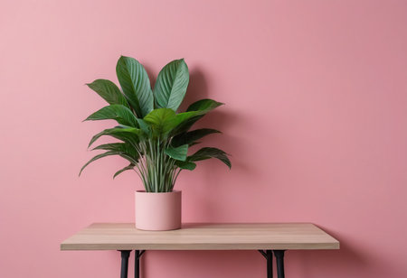 Plant in pot on wooden shelf against pink wall. Interior designの素材