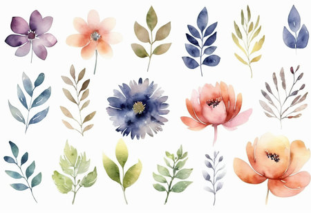 Watercolor flowers set. Hand drawn illustration. Isolated on white background.の素材