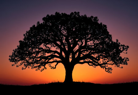 Silhouette of old oak tree at sunset. Nature background.の素材