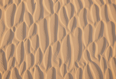 Sand pattern in the desert. Abstract background and texture for design.の素材