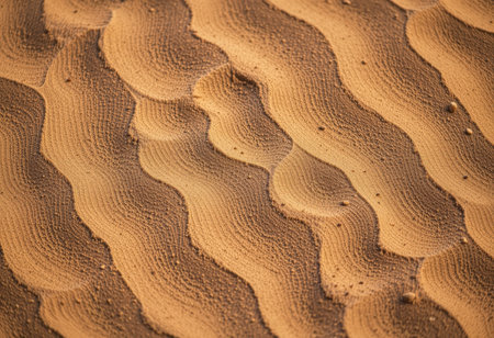 abstract texture line wave in oman the old desert  and the empty quarterの素材