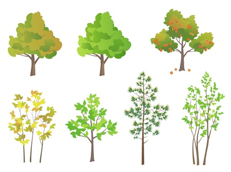 Vector trees - design elements のイラスト素材