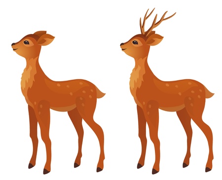 Vector cartoon young deer, isolated on white.のイラスト素材