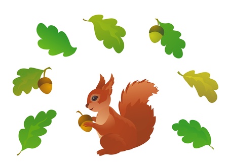 Vector set of oak leaves and a squirrel, isolated on whiteのイラスト素材