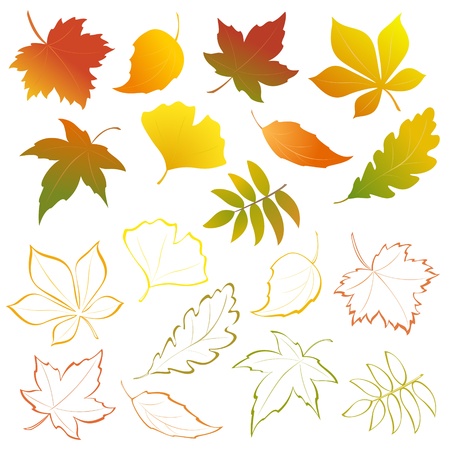 Vector autumn falling leaves - design elementsのイラスト素材