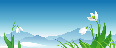 Vector spring banner with snowdropsのイラスト素材