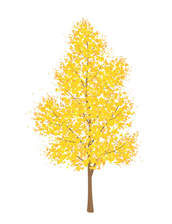 Vector illustration of a yellow autumn tree, isolated on a white backgroundのイラスト素材