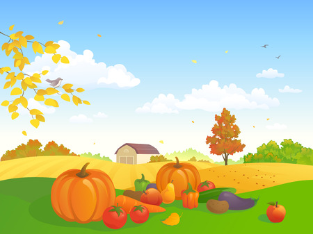 Vector illustration of an autumn harvesting at a farmのイラスト素材