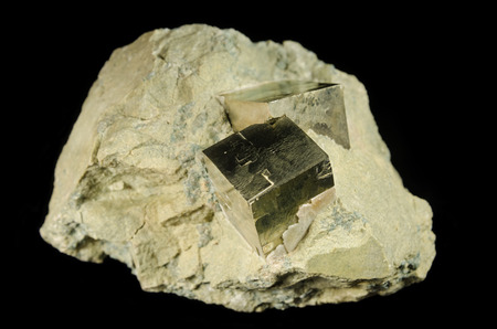 Golden cubes of pyrite in the claystone