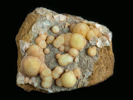 Yellow spherical aggregates of wavellite mineral from Trenice, Czech Republic on black background