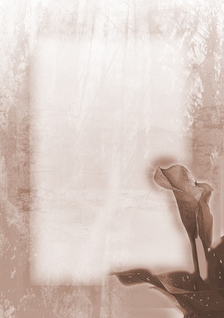 greeting card with flower - sepiaの写真素材