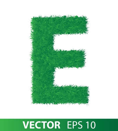 alphabet of green grass on white backgroundのイラスト素材