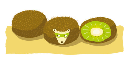 HEDGEHOG CAMOUFLAGEのイラスト素材