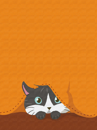 CAT HIDDEN BELOW AN ORANGE FABRICの写真素材