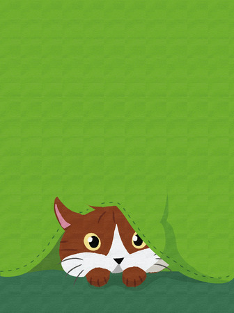 CAT HIDDEN BELOW A GREEN FABRICの写真素材
