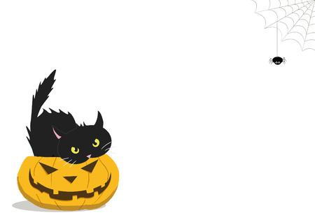 HALLOWEEN PUMPKIN WITH A CAT INSIDE AND A SPIDERのイラスト素材