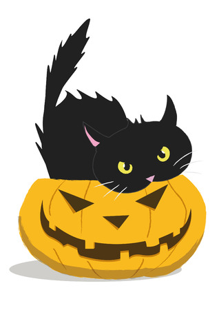 HALLOWEEN PUMPKIN WITH A CAT INSIDEのイラスト素材