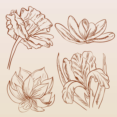 Set of hand painted sketch flowers. Vector illustration.のイラスト素材
