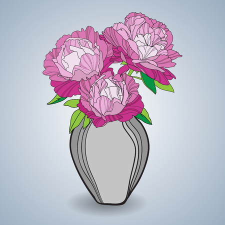Bouquet of beautiful peonies in vase.のイラスト素材