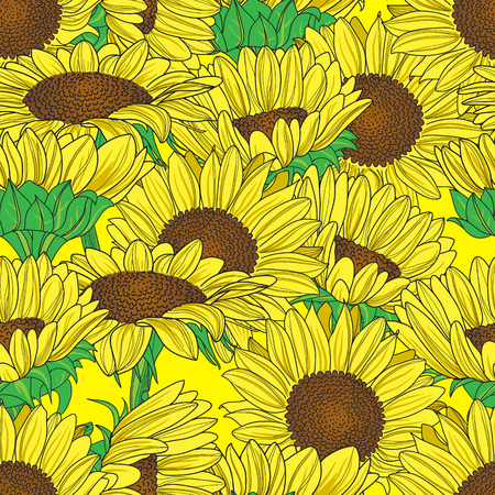 Seamless pattern with sunflowers.のイラスト素材