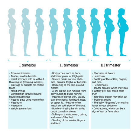 Infographic of pregnant woman in different period. Vector illustrationのイラスト素材
