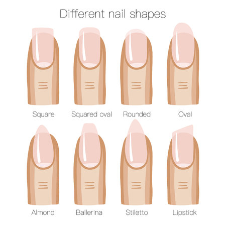 Set of different shapes of nails. Vector illustrationのイラスト素材